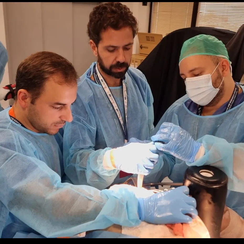 fernando lupselo levve ortopedia medacta italia quadril