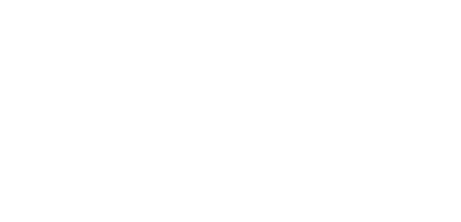 Levve Academy
